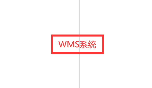 wms系統