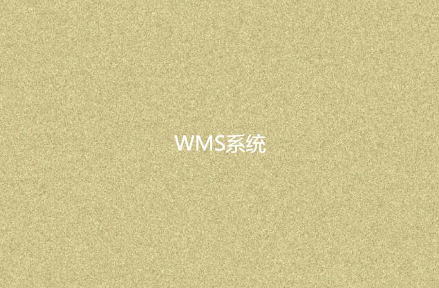 WMS系統適合小型企業嗎？